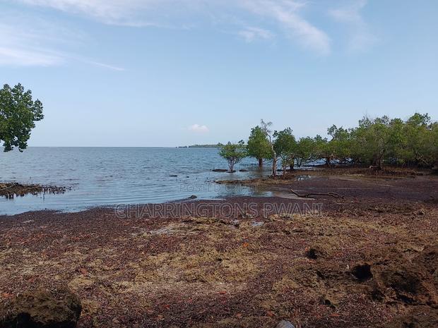 Rocky Beachfront With Sunset View in Shimoni