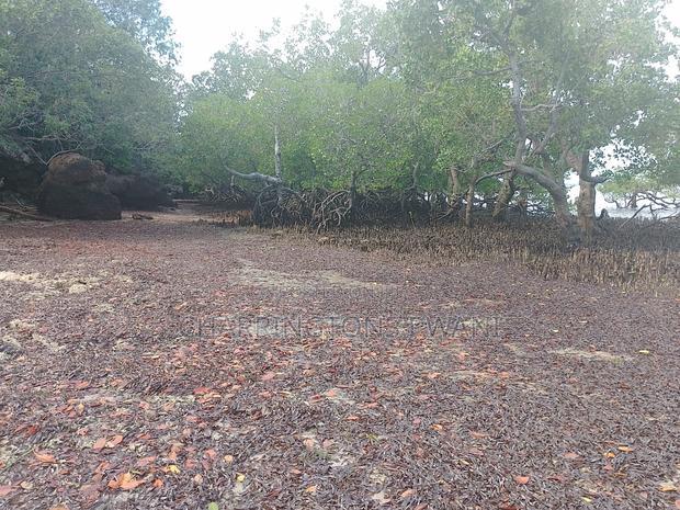 Rocky Beachfront With Sunset View in Shimoni