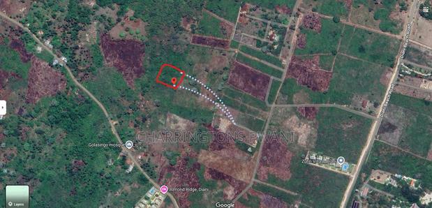 2-Acre Mid-Lot Behind Bora Bora Wildlife Park 5m Per Acre