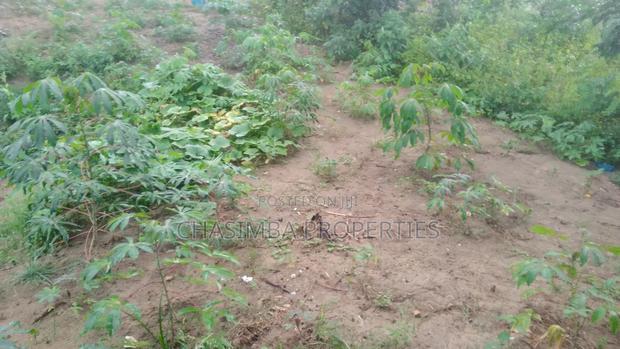 50/40 Feet Plot For Sale