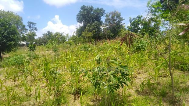 50/50 Feet Plot on Sale