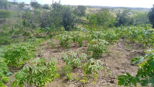 Quarter Acre Mariman