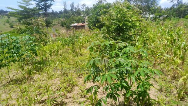 50/50 Feet Plot on Sale