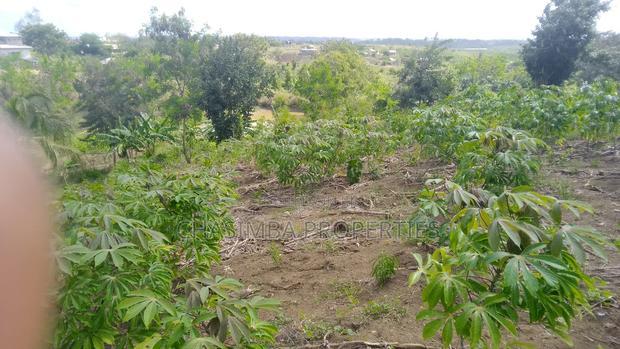 Quarter Acre Mariman