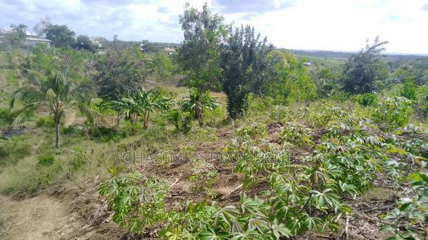 Quarter Acre Mariman