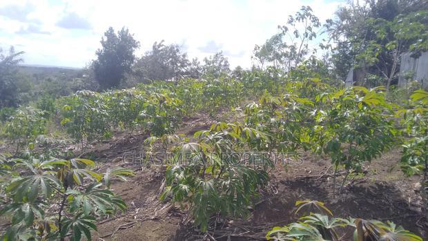 Quarter Acre Mariman