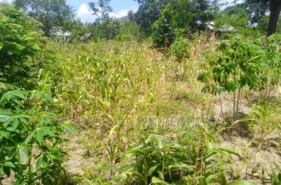 50/50 Feet Plot on Sale