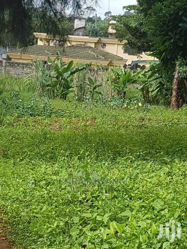 Half an Acre Land for Sale With Ready Title at Mimosa Drive