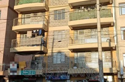 Furnished 1bdrm Block of Flats in Mirema Street, Roysambu for sale