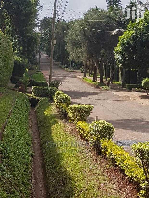 Half an Acre Land for Sale With Ready Title at Mimosa Drive
