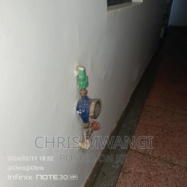 1bdrm Block of Flats in Thindigua for sale