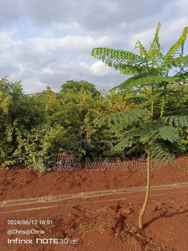 A Quarter an Acre Plot for Sale at Ruiru Daykio Bustani