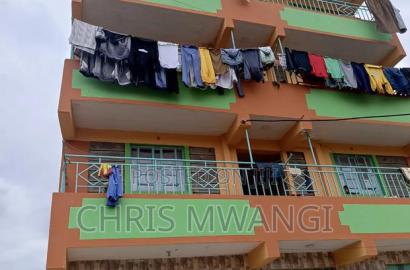 1bdrm Block of Flats in Waiteithia Estate, Thika for sale