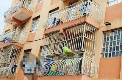 1bdrm Block of Flats in Githurai Street for sale