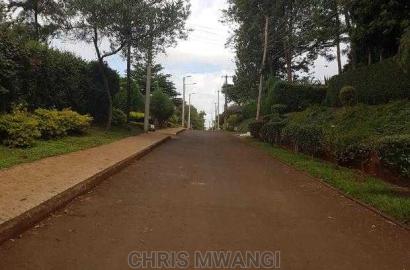Half an Acre Land for Sale With Ready Title at Mimosa Drive
