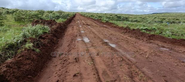 Affordable 50x100 Plot of Land in Nachu Kikuyu