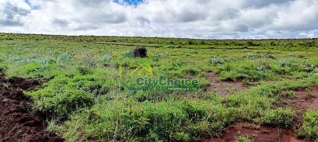 Affordable 50X100 Plot for Sale in Nachu - Kikuyu