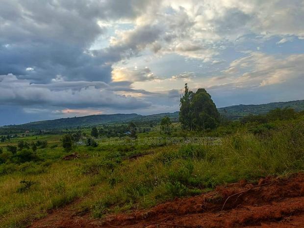 50 X 100ft Plots for Sale in Ndiguini Kikuyu