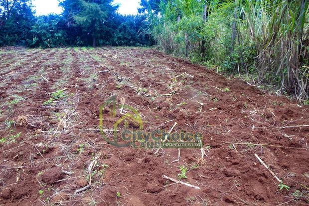 0.25 Acre Land for Sale in Ondiri - Kikuyu