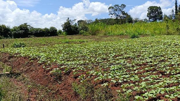 50/100 Plots on Sale in Kikuyu Ondiri