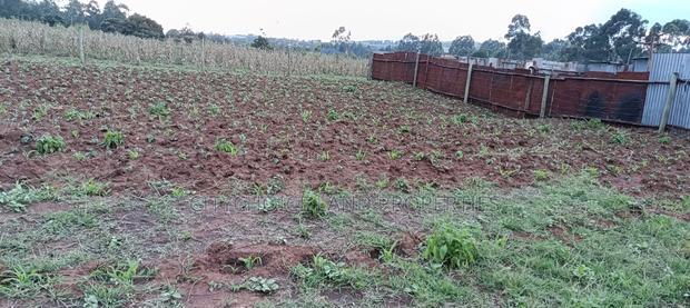 Affordable 50x100 Plot of Land in Jambo Tv Kikuyu