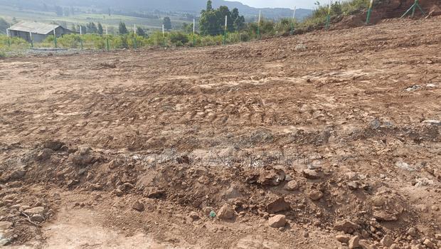 Affordable Prime 50x100 Plots in Kikuyu Ready Title Deeds