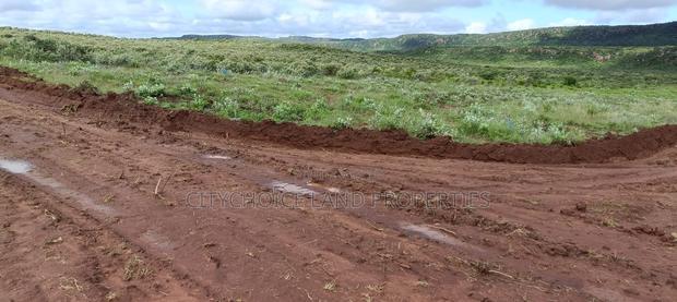 50x100 Plot Of Land For Sale On OFFER! In Nachu Kikuyu