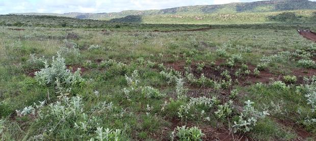 50x100ft Hill Hill Garden Plots for Sale