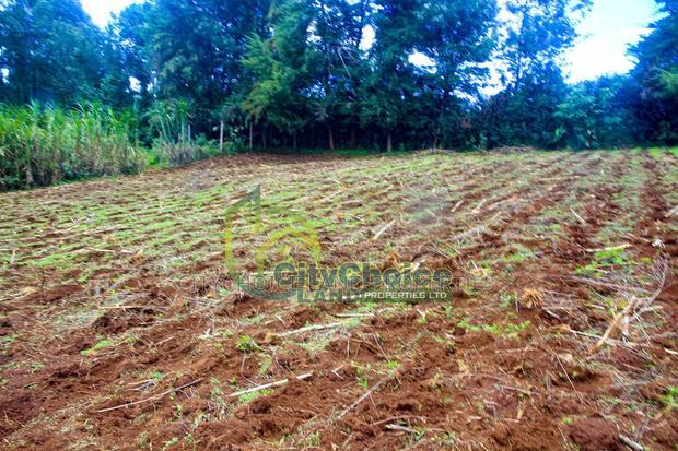0.25 Acre Land for Sale in Ondiri - Kikuyu