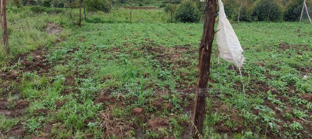 50X100 Land for Sale in Nachu - Kikuyu