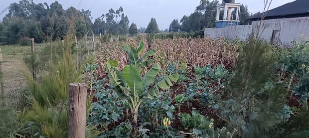 0.05 Land for Sale in Thigio, Kikuyu