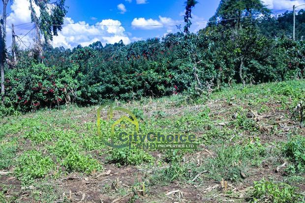 Prime Affordable 1/4 Acre Land for Sale in Ruthigiti Kikuyu