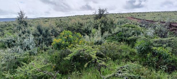 Prime 50x100 Plots for Sale on OFFER! In Kikuyu Nachu