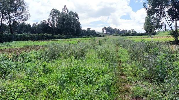 50/100 Plots on Sale in Kikuyu Ondiri