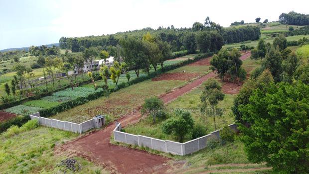 A Gated Community With 19 Plots!