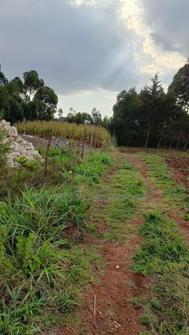 Prime Investment Opportunity - Rironi Kiroe