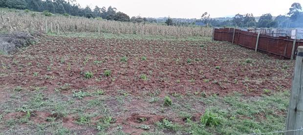 50x100 Plot of Land for Sale in Gikambura