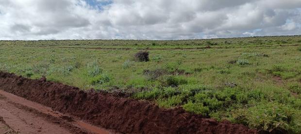 50x100 Plot Of Land For Sale On OFFER! In Nachu Kikuyu