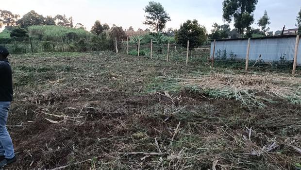 Prime Land Investment Opportunities in Kikuyu Kerwa