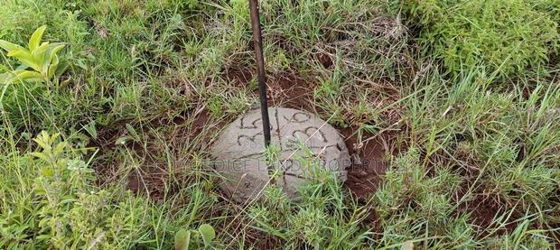 Prime 50x100 Plots for Sale on OFFER! In Kikuyu Nachu