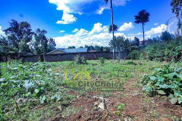 Prime Affordable 1/4 Acre Land for Sale in Ruthigiti Kikuyu