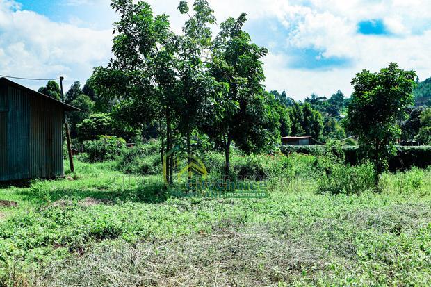 50by100ft Plot for Sale in Gikambura