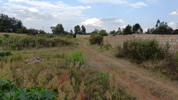 Affordable Perfect Family Plot Rironi Kiroe for Only 2,200,000