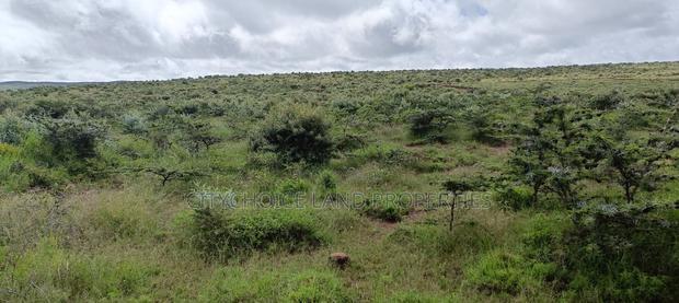 50x100 Plot Of Land For Sale On OFFER! In Nachu Kikuyu