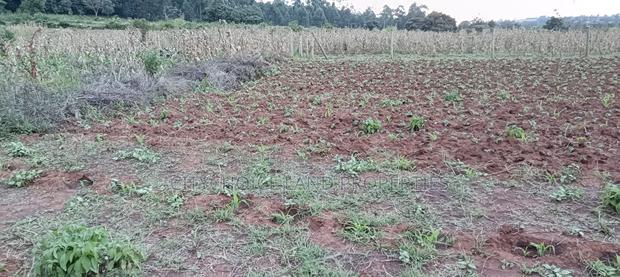 50x100 Plot of Land for Sale in Gikambura