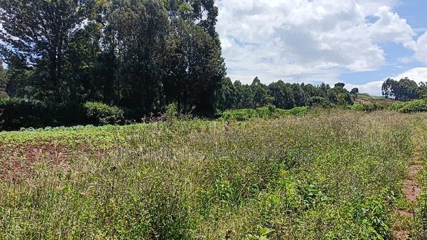 50/100 Plots on Sale in Kikuyu Ondiri