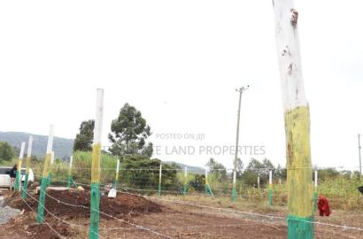 Affordable 50x100 Plots for Sale - Mbomboini Estate