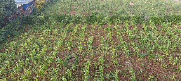Residential Plots for Sale in Gikambura