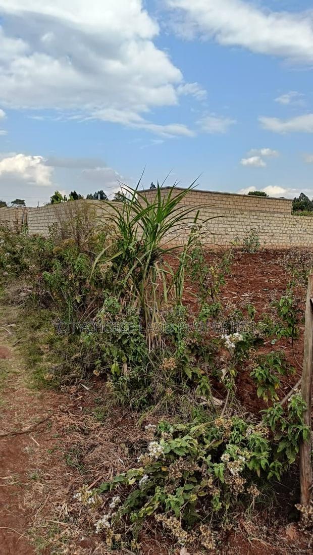 Build Your Dream Home in Rironi Kiroe for Only 2,200,000