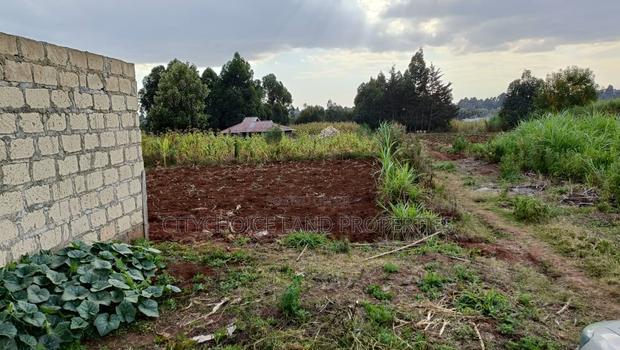 Affordable Perfect Family Plot Rironi Kiroe for Only 2,200,000